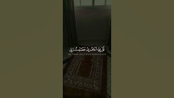 ﴿ قُلْ إِنِّي أَخَافُ إِنْ عَصَيْتُ رَبِّي ﴾|القارئ عبد الرحمن مسعد|سورة يونس