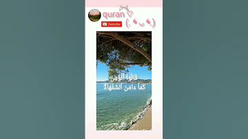 سورة البقرة الآية 11 12 13 سورة البقرة دين قرآن سعد الغامدي 