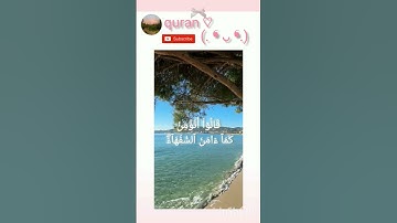سورة البقرة الآية 11,12,13 #سورة_البقرة #دين #قرآن #سعد_الغامدي