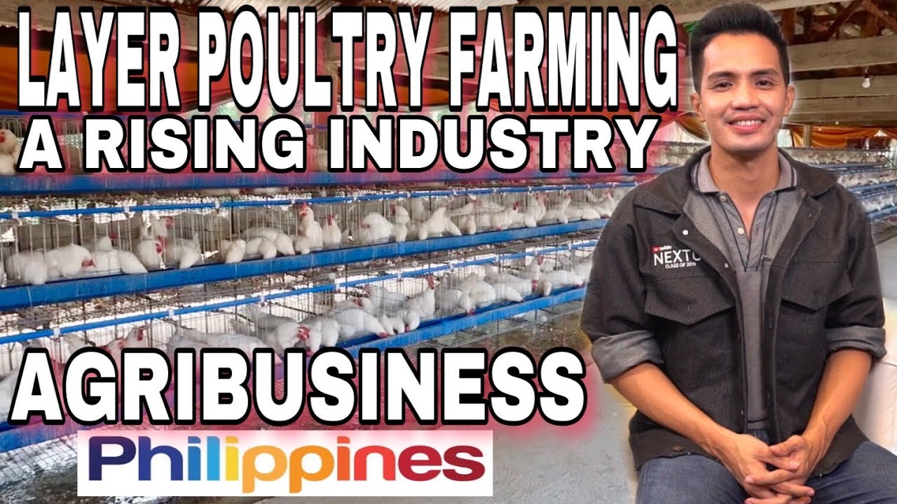 research paper on poultry farming in the philippines