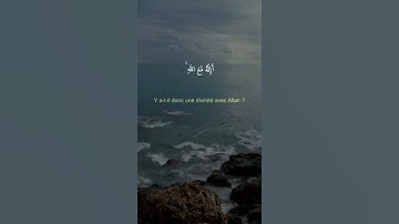 أمن يهديكم في ظلمات البر والبحر | القارىء على القرني | حالات واتس اب دينية قصيرة قران كريم