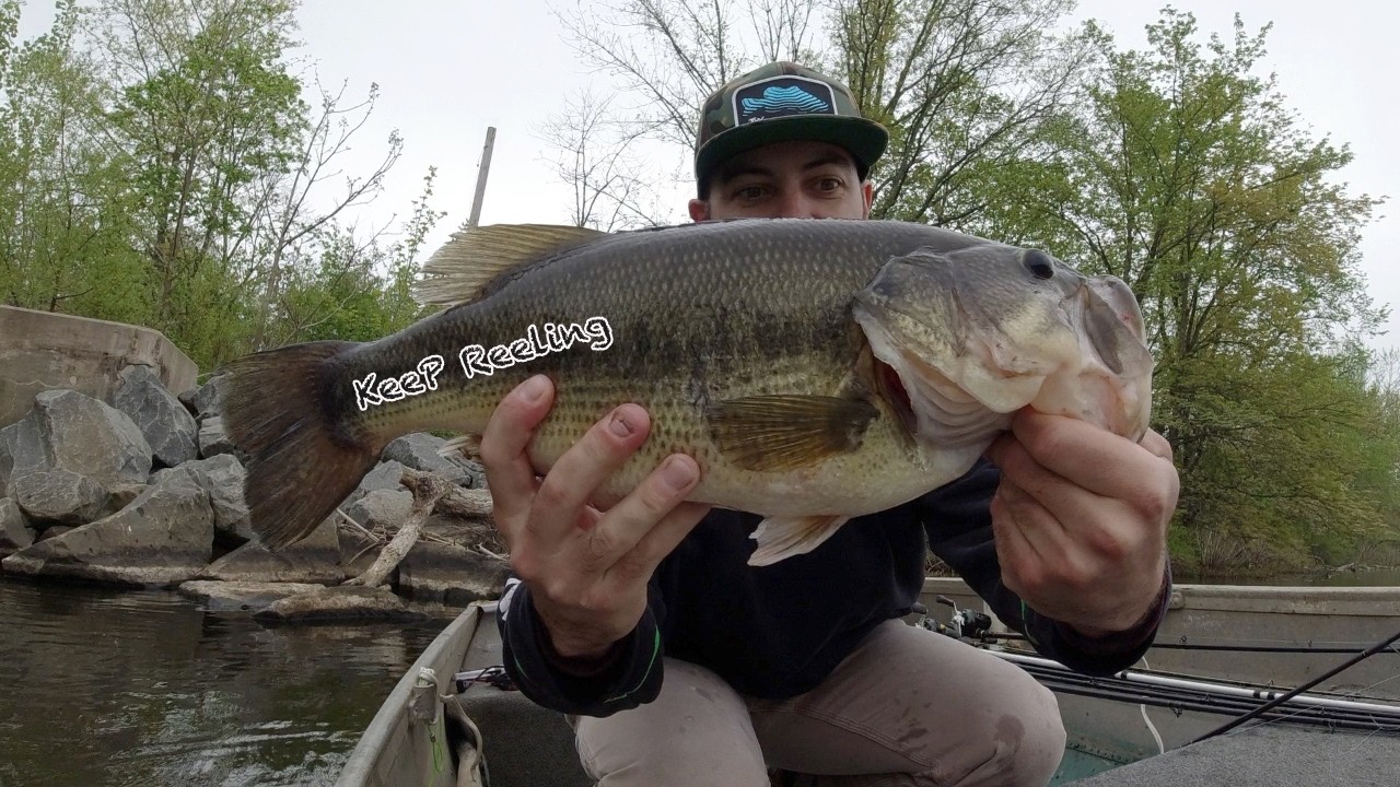 This took me 15 YEARS!!  Bass fishing GLORY!