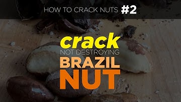 How to Crack Brazil Nuts - Get Whole Nut, Not Pieces (How to Crack Nuts #1)