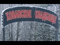 "Хованское кладбище - Орехово-Медведковская ОПГ"