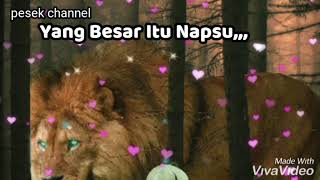 Albi nadak for story wa☺️