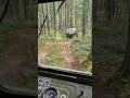 Выезд🌲 #тайга #4х4 #шишига #офроад #приключения #природа #offroad #automobile #туризм #nature #лес