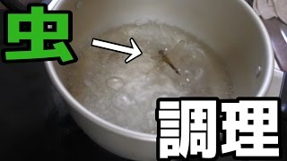森で捕った虫を調理してみた。【スペースデリバリー】