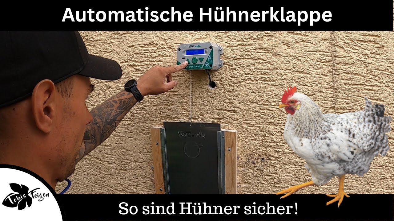 Automatische Hühnerklappe montieren | So sind deine Hühner sicher vor ...