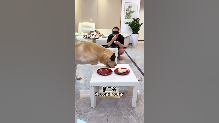【旺仔很忙🐶wangzai is busy】哈哈哈，遥遥领先Hahaha, way ahead.