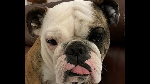 Hypergeometric Distributions on Minitab