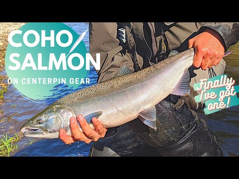 Video: Kalori Salmon Coho, Vetitë E Dobishme Dhe Përgatitja