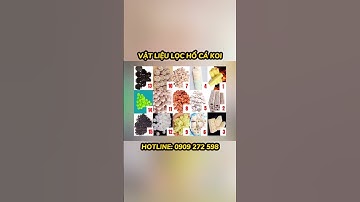 Vật liệu lọc hồ cá koi #vatlieuloc #koi #hocakoi #hokoi #shorts #short