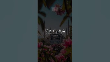 ﷽📖 سُورَةُ الزخرف🎙️القارئ محمد صديق المنشاوي♥️
