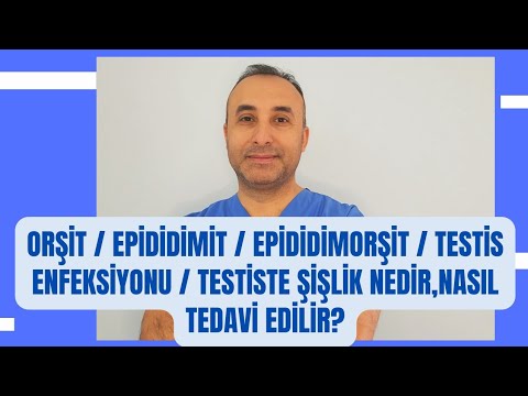 Orşit / Epididimit / Epididimorşit / Testis Enfeksiyonu / Testiste şişlik nedir,nasıl tedavi edilir?