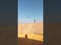 مابينا عهد إعصار بتطير وترجعلى Birds Nature طيور اكسبلور حيوانات معلومات مابينا عهد إعصار بتطير وترجعلى Birds Nature طيور اكسبلور حيوانات معلومات