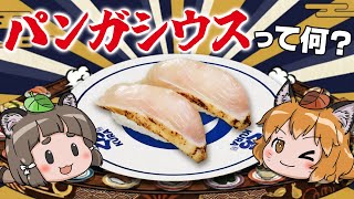 【疑問】お寿司の「パンガシウス」って何の魚なの?【生き物ニュース5本】