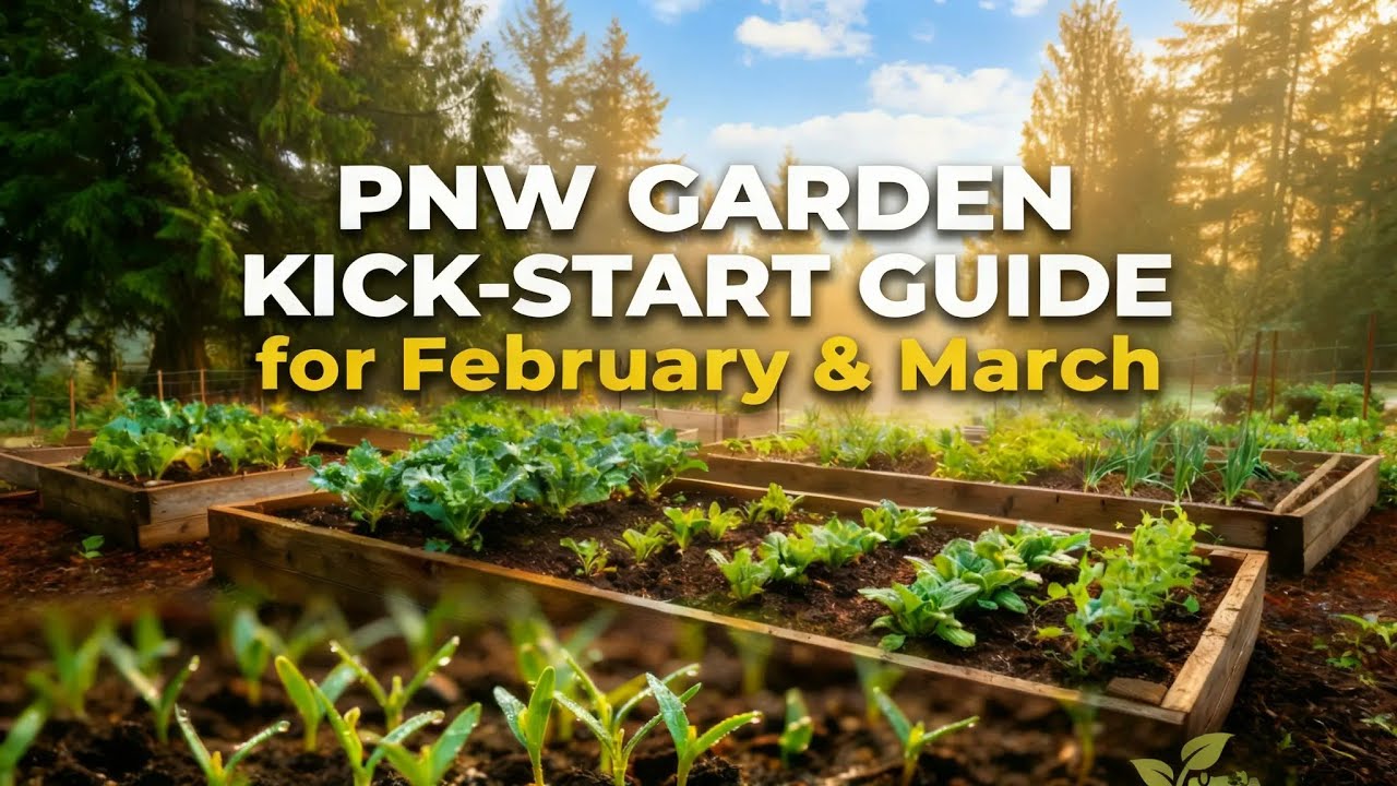 Pacific Northwest Garden: February and March Launch Guide