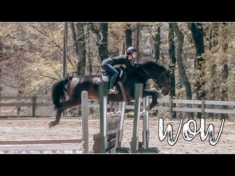 Jumping BIG jumps with chino!! | Eleese S