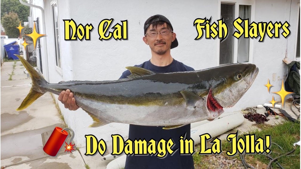 Fishing w NickFish, DieHardFishing, & @fishingWithSensei in La Jolla/Who gets a La Jolla Home Guard