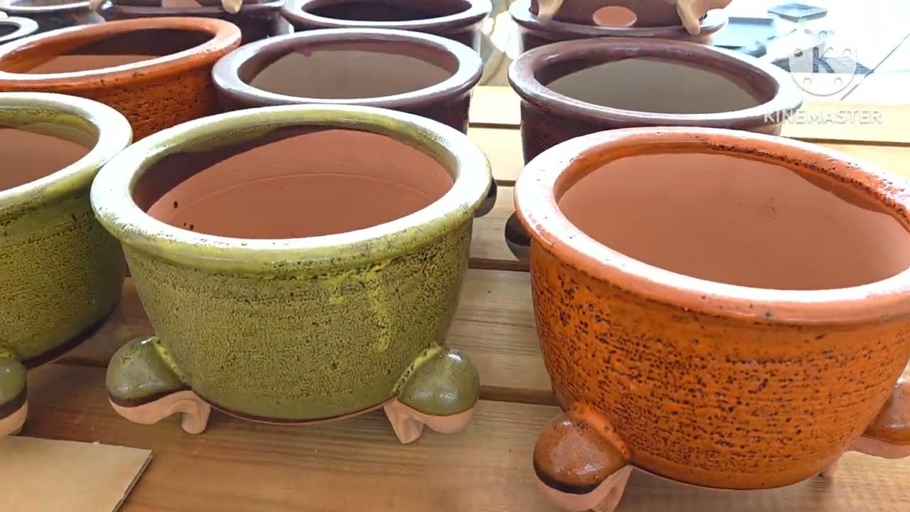 화분판매 전국최저가 폭탄쎄일 010 4499 2456 7만이상 무료배송 주문은 문자로주세요 