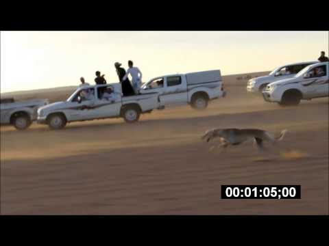 تصفية ابطال مهدات المعلق المجمعه