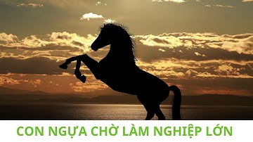 CÂU CHUYỆN NỘI TÂM: CON NGỰA CHỜ LÀM NGHIỆP LỚN #chuyengiatamlytranthithuytrang