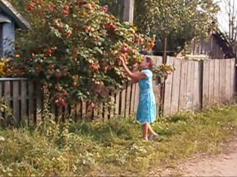 Калина красная 2 сезон