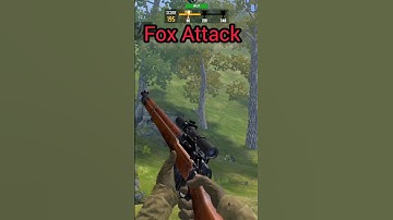 Fox attack on the jungle. #youtubeshorts #viralvideo #shorts