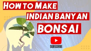 The Art of Crafting Indian Banyan Bonsai Tree