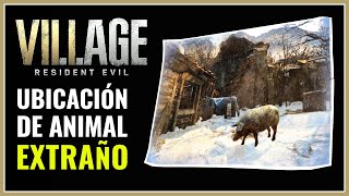 Foto De Animal Extraño Resident Evil 8 Cerdo Blanco