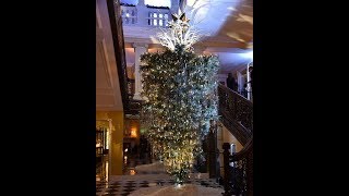 Should you turn your Christmas tree upside down