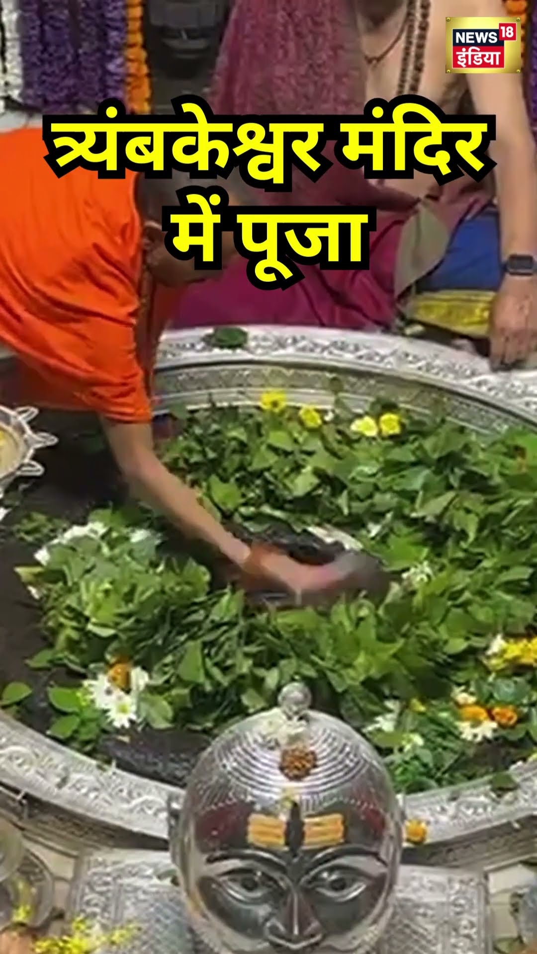 Shri Trimbakeshwar Jyotirlinga Temple in Nashik ahead Maha Shivratri celebrations | #shorts