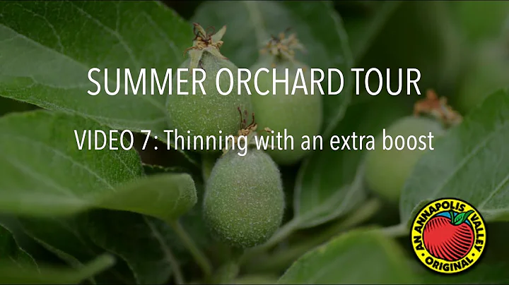 Video 7: Thinning with an extra boost