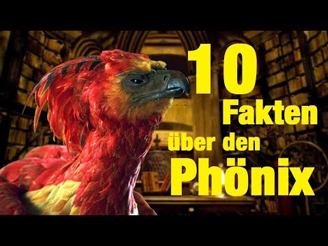 Video: Was ist ein Phönix-Fabelwesen?