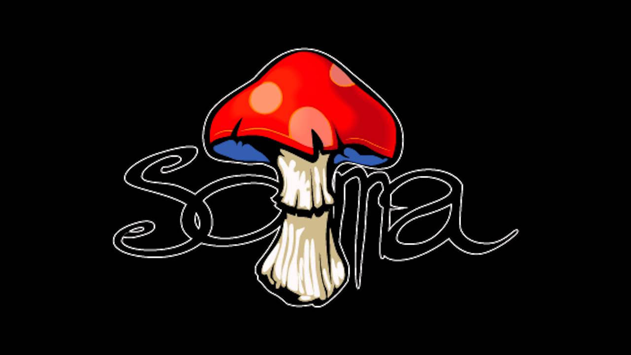 4. Jardin de huellas - Soma (Unplugged Arcana vs Soma)