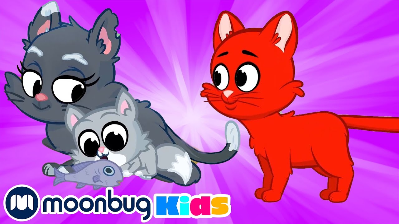 ⁣Морфл и Кошки! -Детские мультики | Morphle | Морфл | Moonbug Kids
