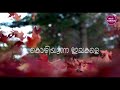 Nila vanile malayalam song status.....