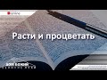 08.11.2020 п. А. Лукьянов - Расти и процветать