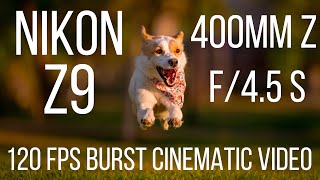 Nikon Z9 & 400mm Z f/4.5 S Dog Run 120 fps burst mode Slow Motion Cinematic Video