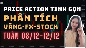 ✅Phân Tích VÀNG-FOREX-STOCK Tuần 08/12-12/12 Theo Phương Pháp Price Action Tinh Gọn | TraderViet