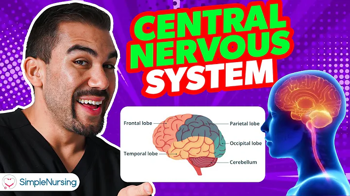 Components of the Central Nervous System: An Overview for Nursing Students