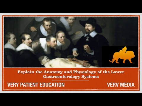 VERY PATIENT EDUCATION GASTROENTEROLOGY:  The anatomy and physiology of the lower digestive system