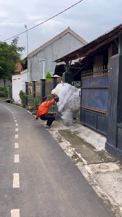 Tukang ojeg dimakan macan
