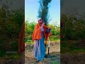 عاوزين نعملك بني ادم وانت مصمم تبقى كلب