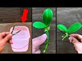 So magical! It causes orchid branches to sprout many baby orchids immediately