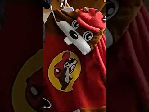 Buc-ee's onesie is watching me...🦫 - YouTube