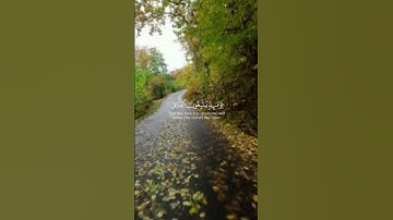 تلاوة خاشعة بصوت القارئ ياسر الدوسري استمتع بجمال القرآن #راحة_نفسية #ياسر_الدوسري