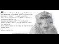 North Jakarta Mangrove Monkeys updates