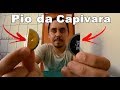 Como fazer PIO de capivara com tampinha de garrafa