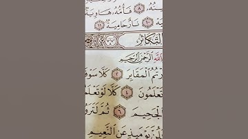 قرآن كريم #ماهر_المعيقلي#اكسبلور##ترند#العراق#السعودية#الكويت#قران_كريم#قرآن#تلاوة_خاشعة#هند#صيني 🍓